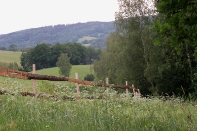 Nová ohrada pro kravičky.