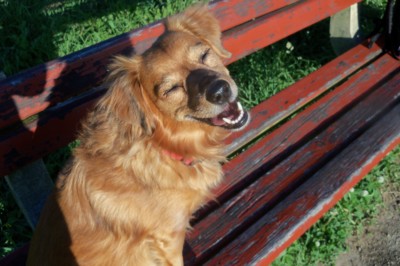 Úsměv pro vás od srdíčka:)))))