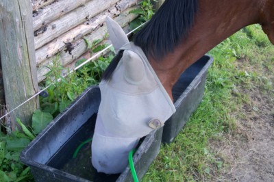 Koňská " ochrana", mouchy nemají šanci:))))))