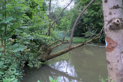 Po modré dál už ani krok.