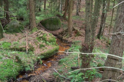 Cestou necestou u Mojžíšova pramene.