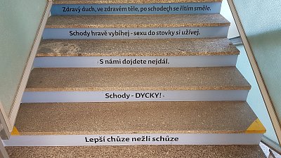Foto ze startu