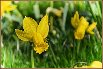 Před chvílí přestalo pršet...