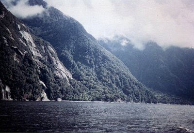 Fjord Milford Sound