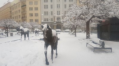 Foto ze startu