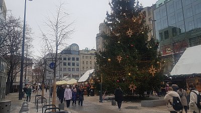 Foto ze startu