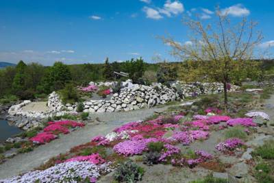 14-Arboretum Makču Pikču