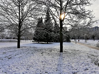 Zima v městském parku   *