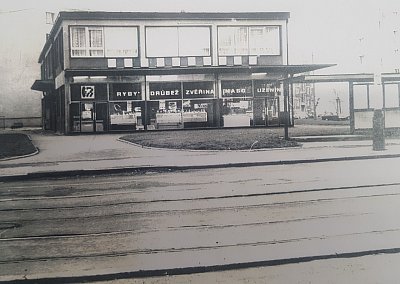 Foto ze startu