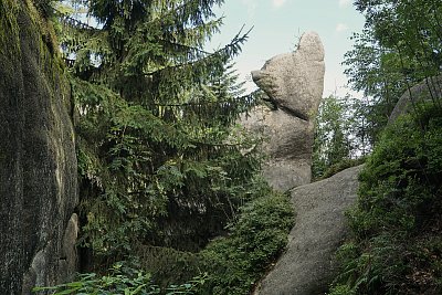 Kamenná kočka z Broumovských skal