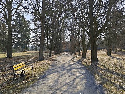 V zámeckém parku *