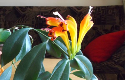 Máme, ale neznáme ...