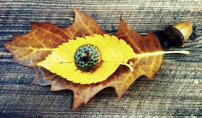 "oko" do času podzimního...