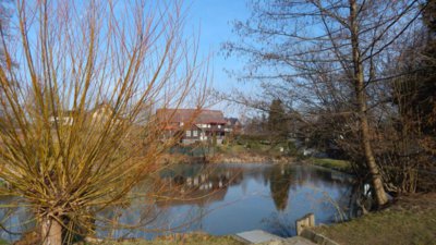 Rybníček v Janově