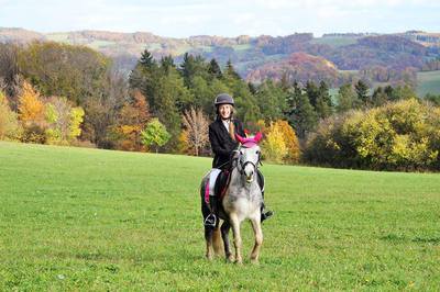 Hubertova jízda, Bludička Bludovice