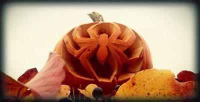 Extra s pavoučkem...