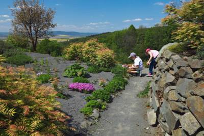 15-Arboretum Makču Pikču