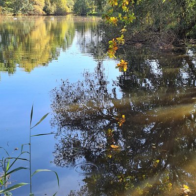 Klidná hladina