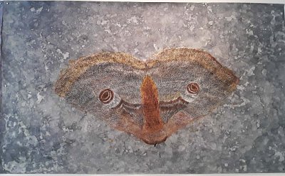 15-nocni-motyl-2024--1.jpg