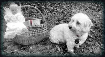 Putování za starouškama hospicu...