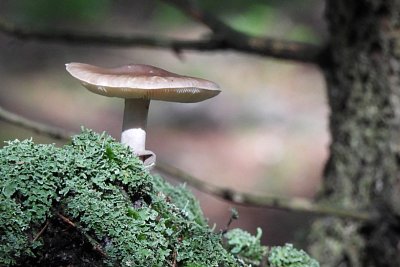 16-nesbiram-kocham-se.jpg