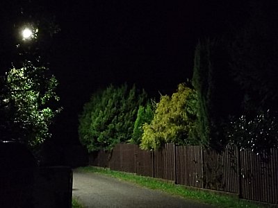 Foto ze startu