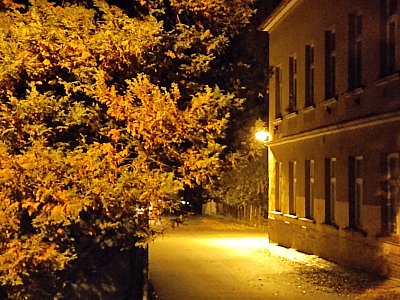 Foto ze startu