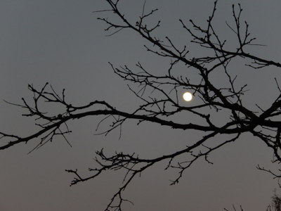 Nedělní měsíček