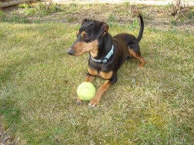 Pajda a jeho balonek