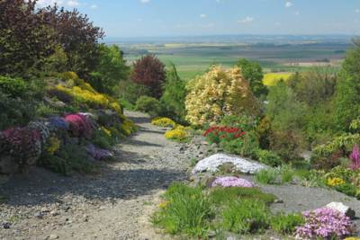 19-Arboretum Makču Pikču