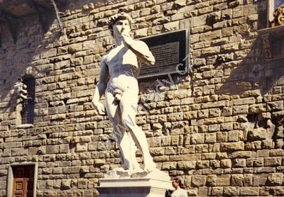 192704.800r.jpg