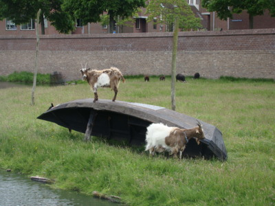 ....asi kontrola před plavbou !