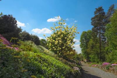 20-Arboretum Makču Pikču