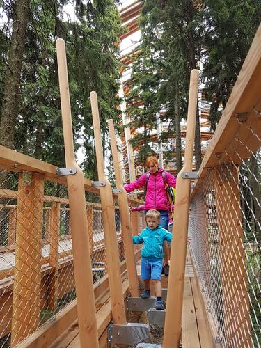 Na stezce v korunách stromů- Pec pod Sněžkou