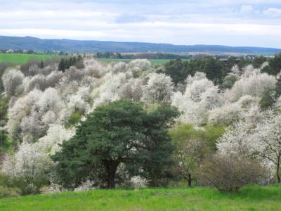 Okolí Plumlovské přehrady