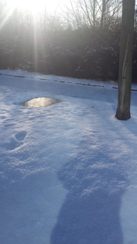 Ano, vrhám stín proi slunci...