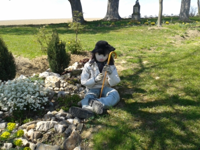 Odpočinek v trávě