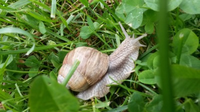 Hurá a jedu karavanem na prázdniny