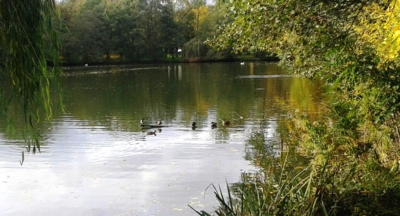 Podzim na zámeckém rybníku