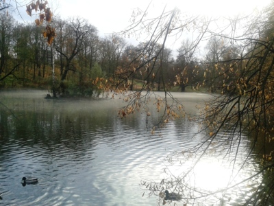 ranní opar nad rybníkem