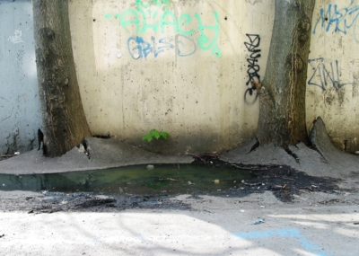 v mládí je naše naděje