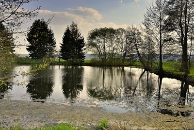 3. rybník na Všeňském potoce