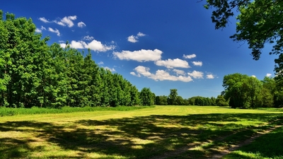 V lukách pod Loukovem