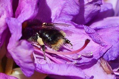 Jsem v tom až po uši