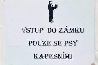 Bez kapesních psů vstup zakázán (Nesoutěžní - Dětenice)