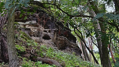 Má hlad, nebo volá o pomoc? *