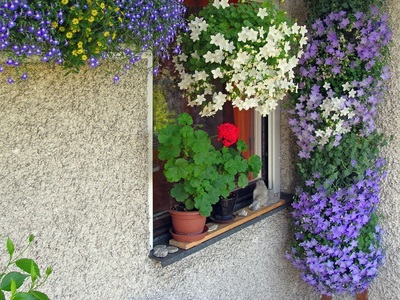 Svatební v plné parádě *