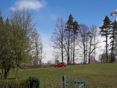 Kolik koní se pase na louce?