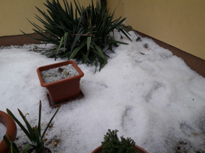 Na Bonifáce ve 13:30 v Čakovicích