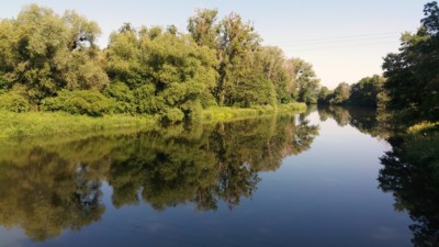 Řeka Morava u Bolelouce